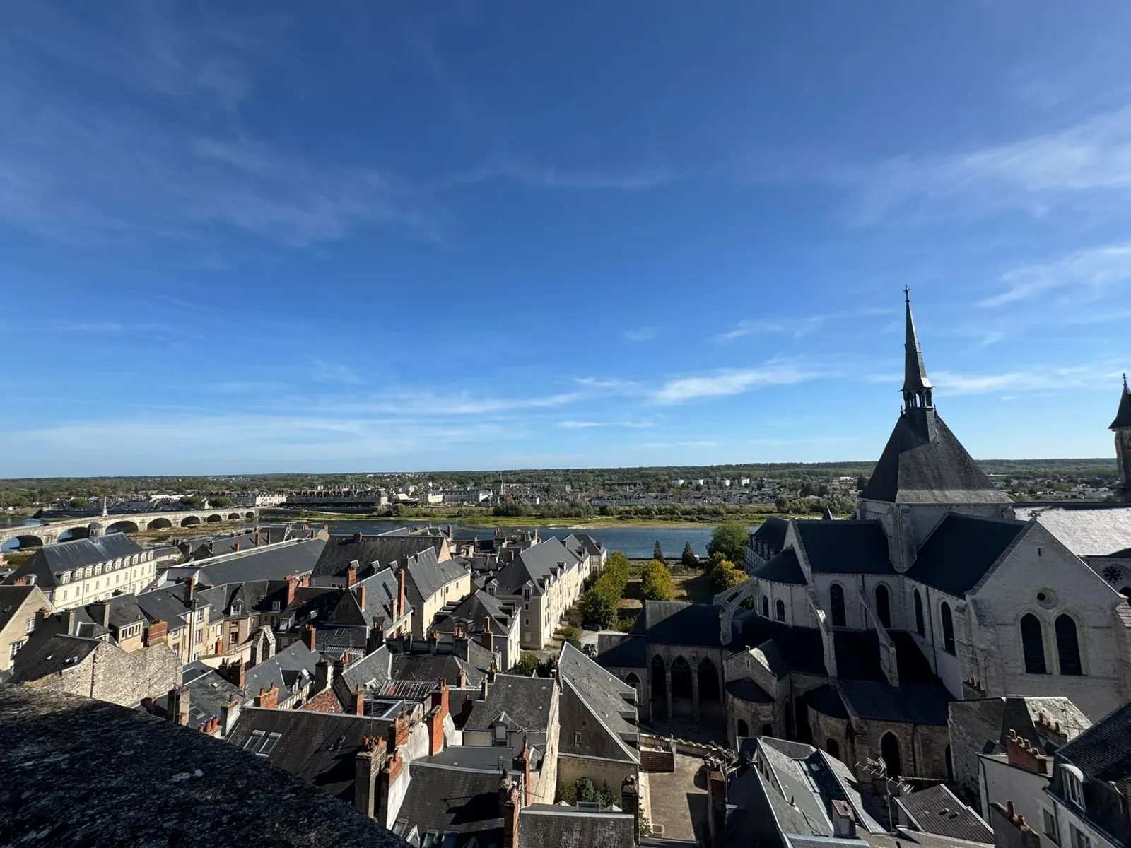 Panorama sur les toits de Blois, le clocher de l'église Saint-Nicolas et la Loire franchie par un pont de pierre